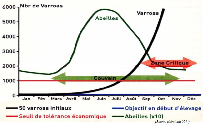 VarroaNoireterre